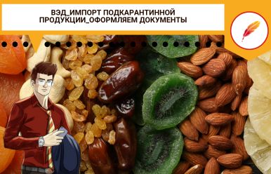 ВЭД_Импорт подкарантинной продукции_оформляем документы